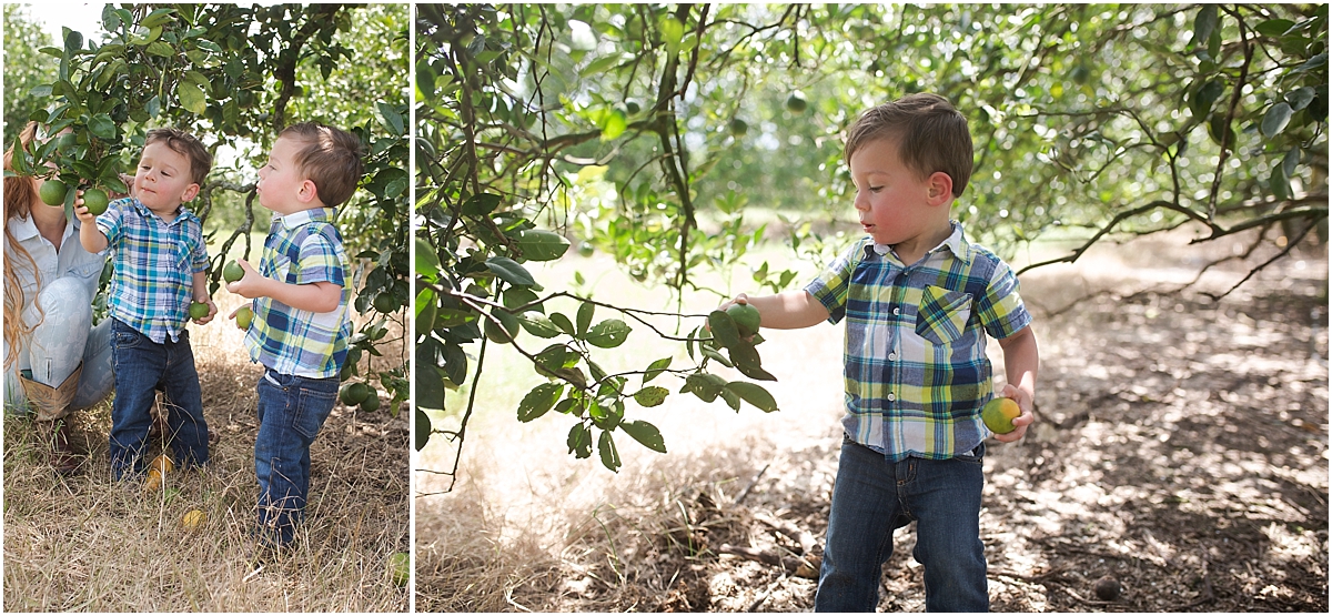 abigail vigoa photography