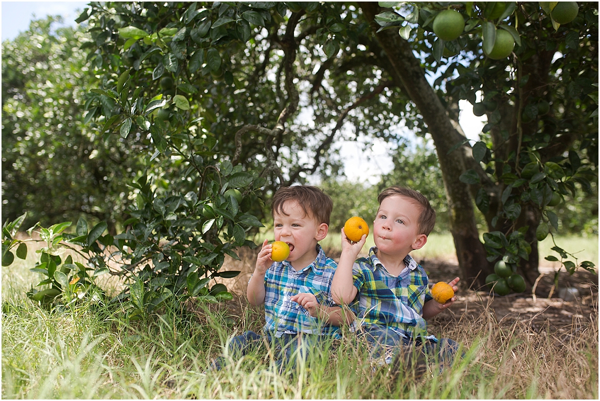 abigail vigoa photography
