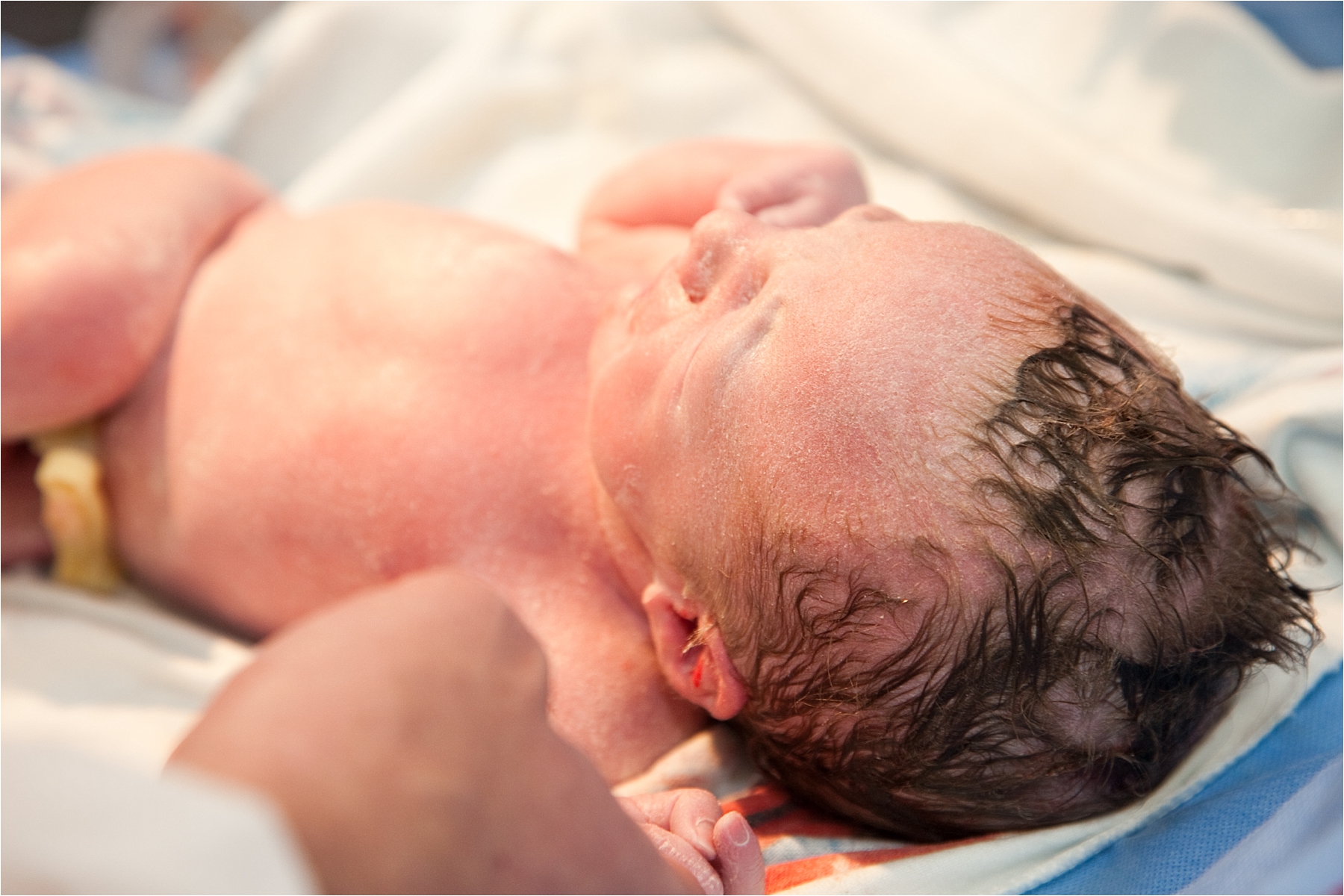 miami birth photographer