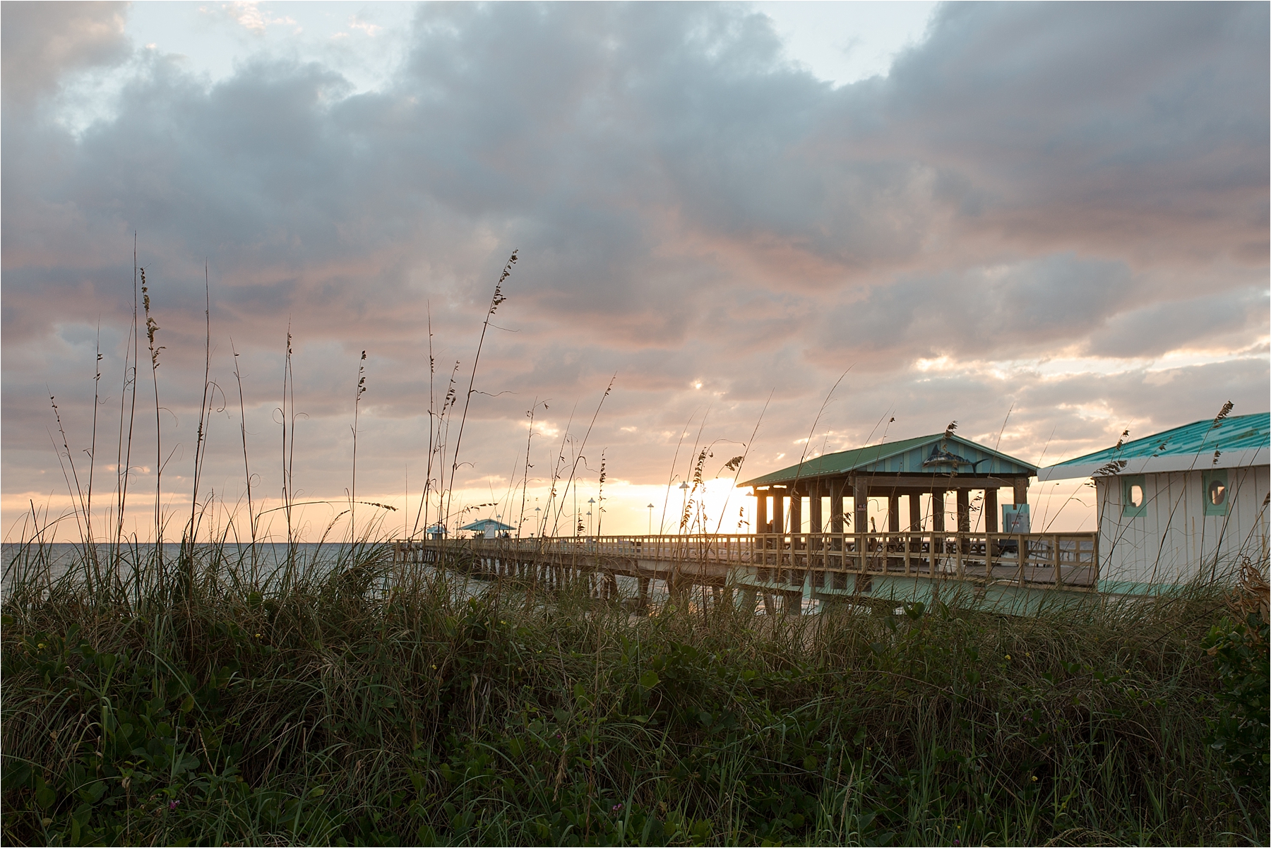 palm beach family photography