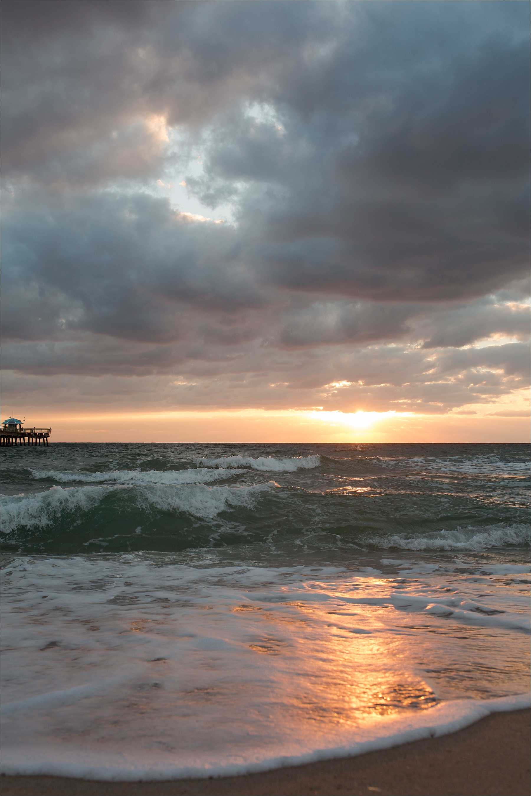 palm beach family photography