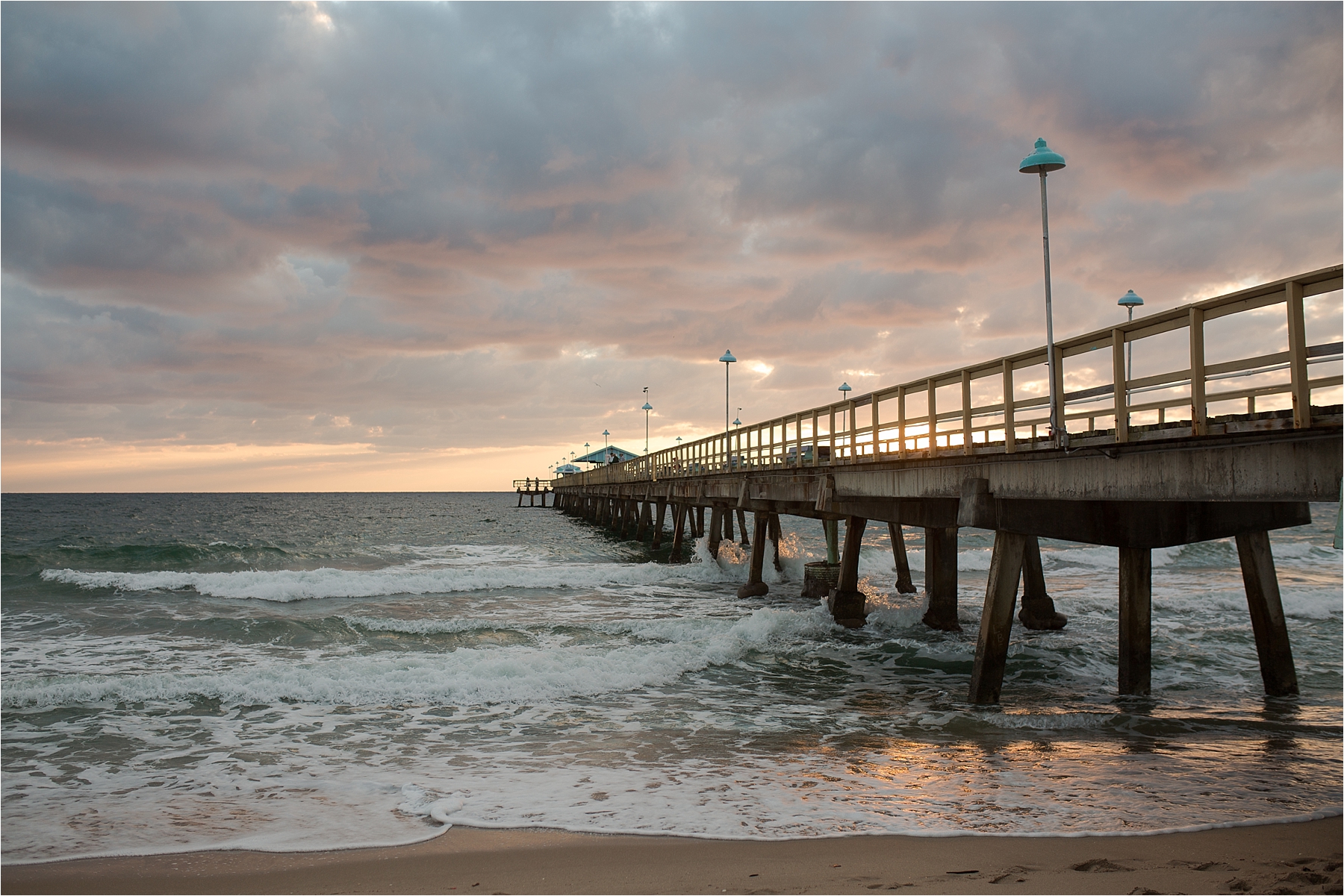 palm beach family photography