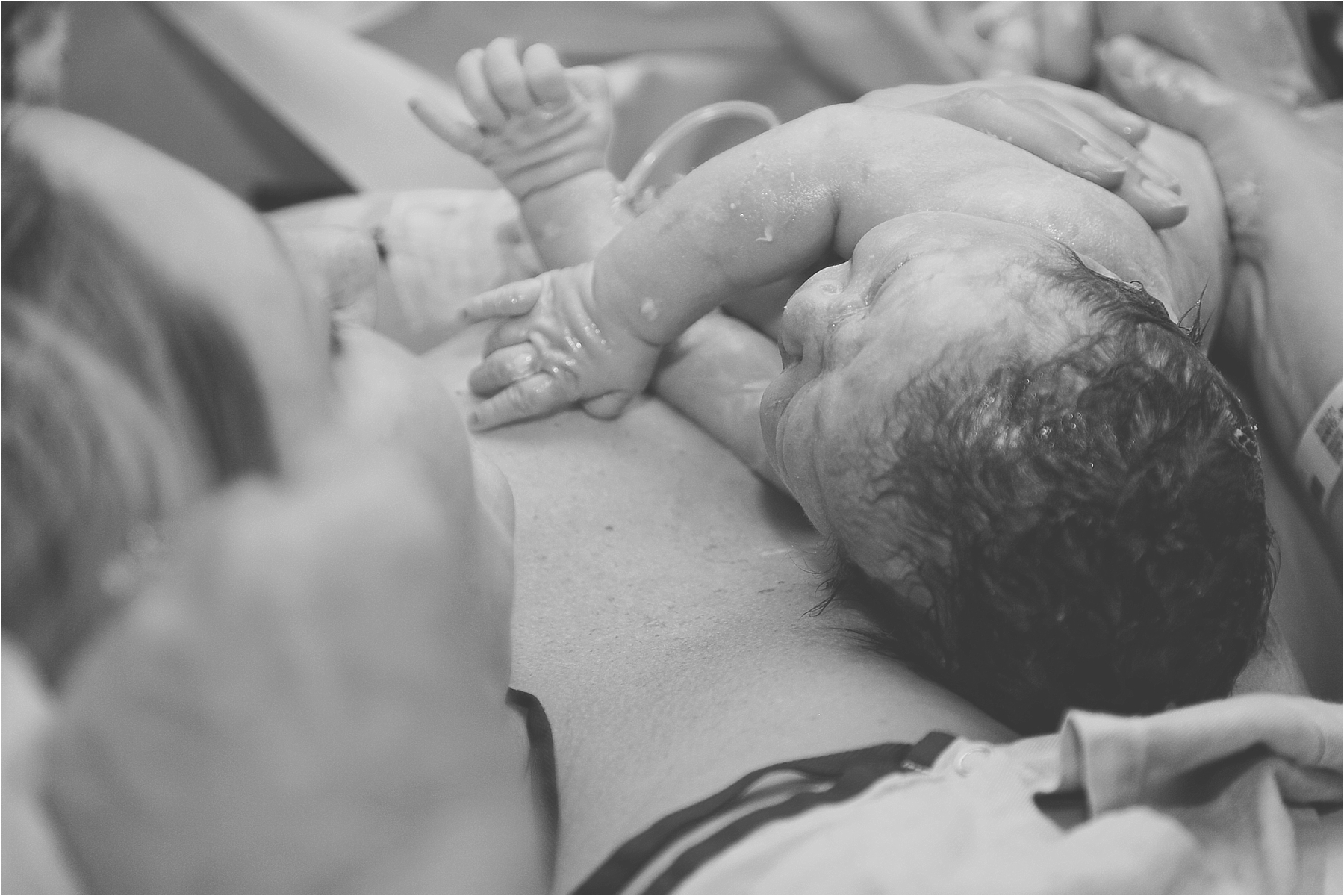 palm beach birth photographer