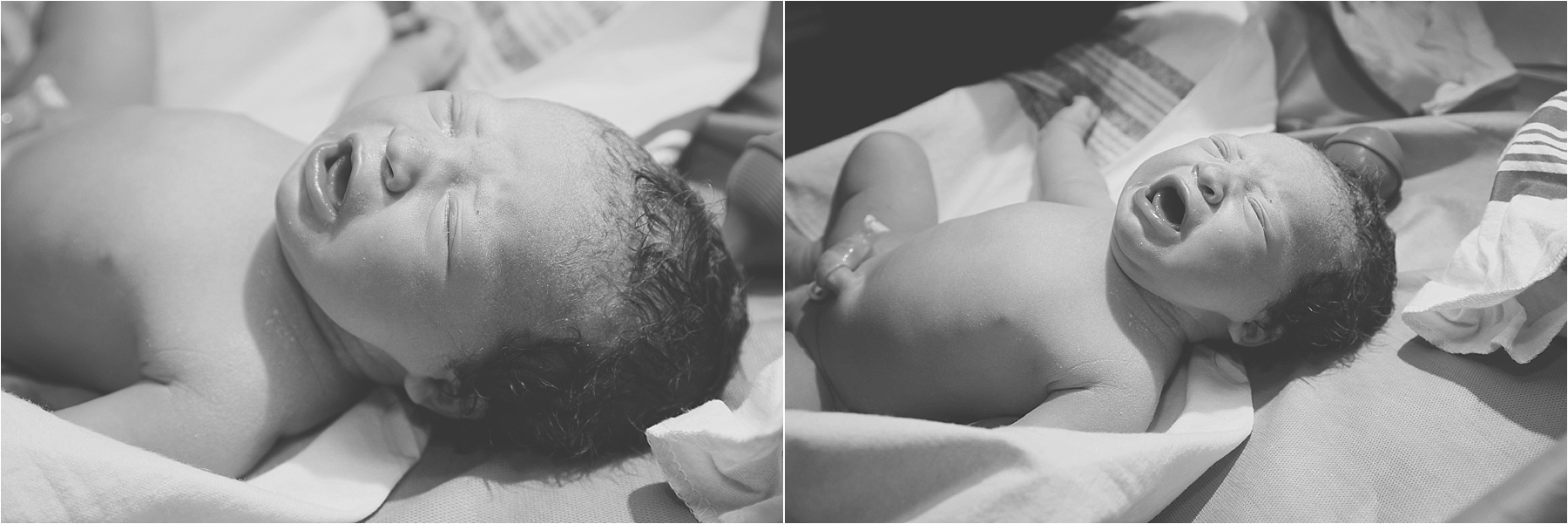 palm beach birth photographer