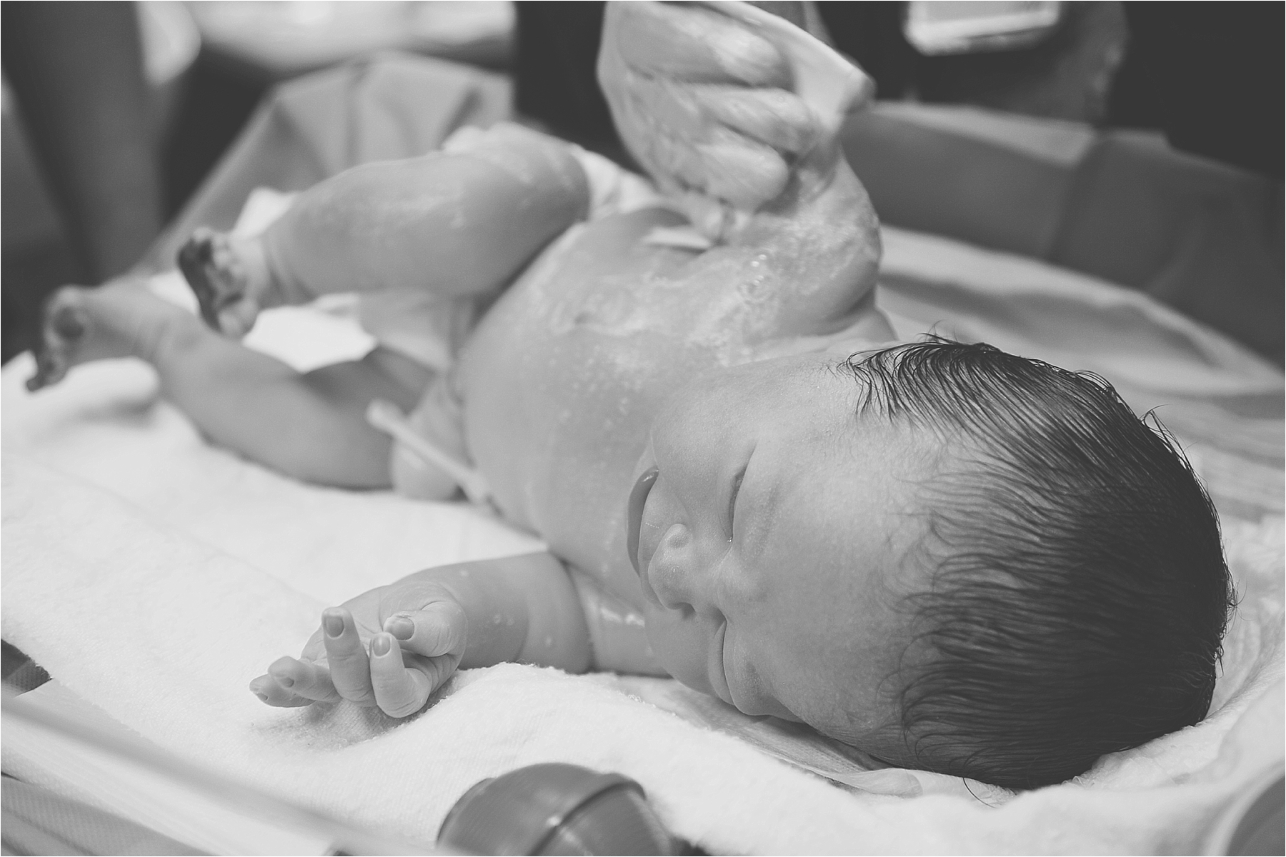 palm beach birth photographer