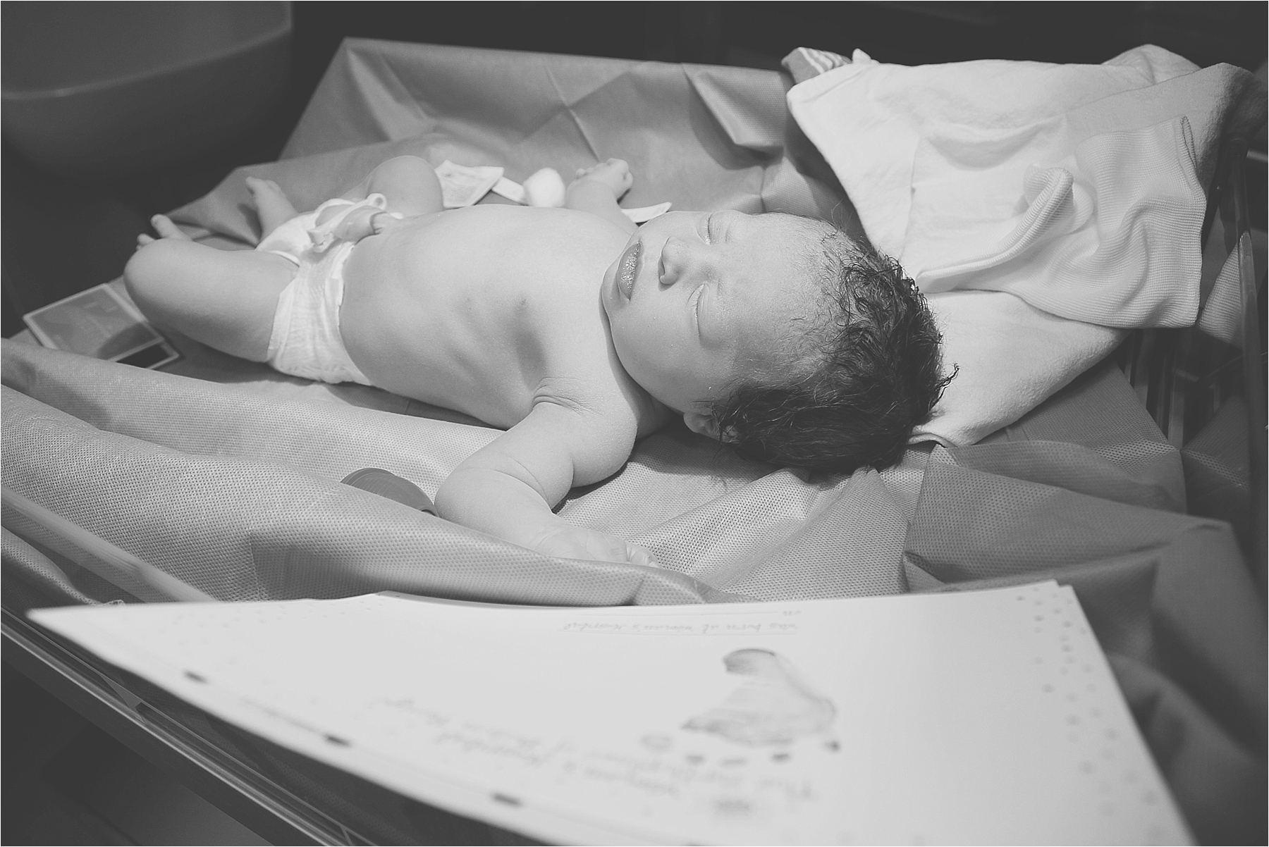 palm beach birth photographer