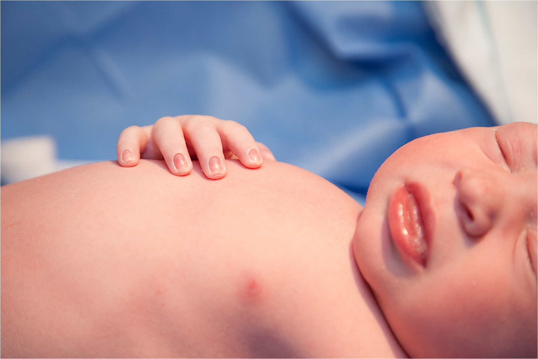palm beach birth photographer