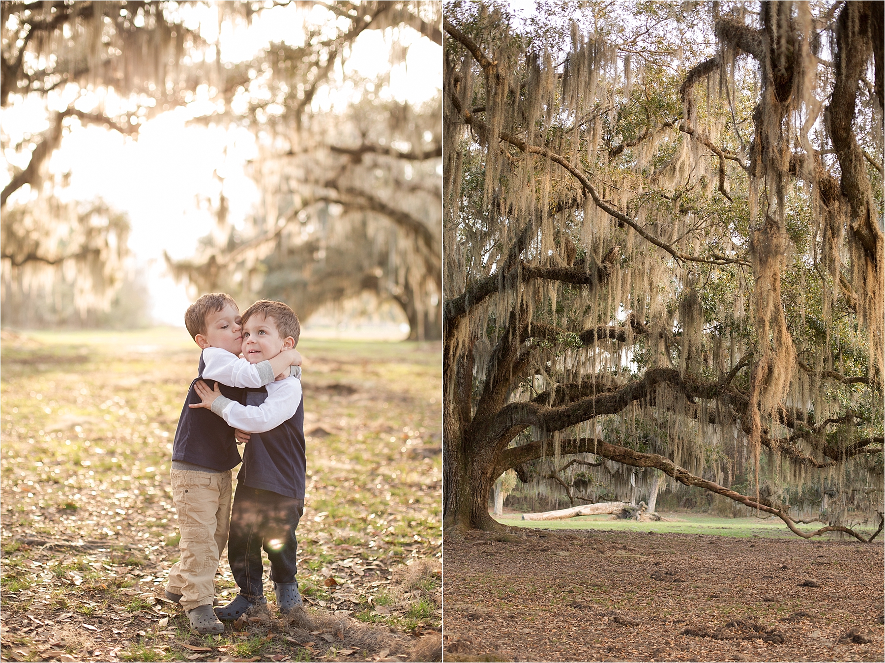 fontainebleau state park family session