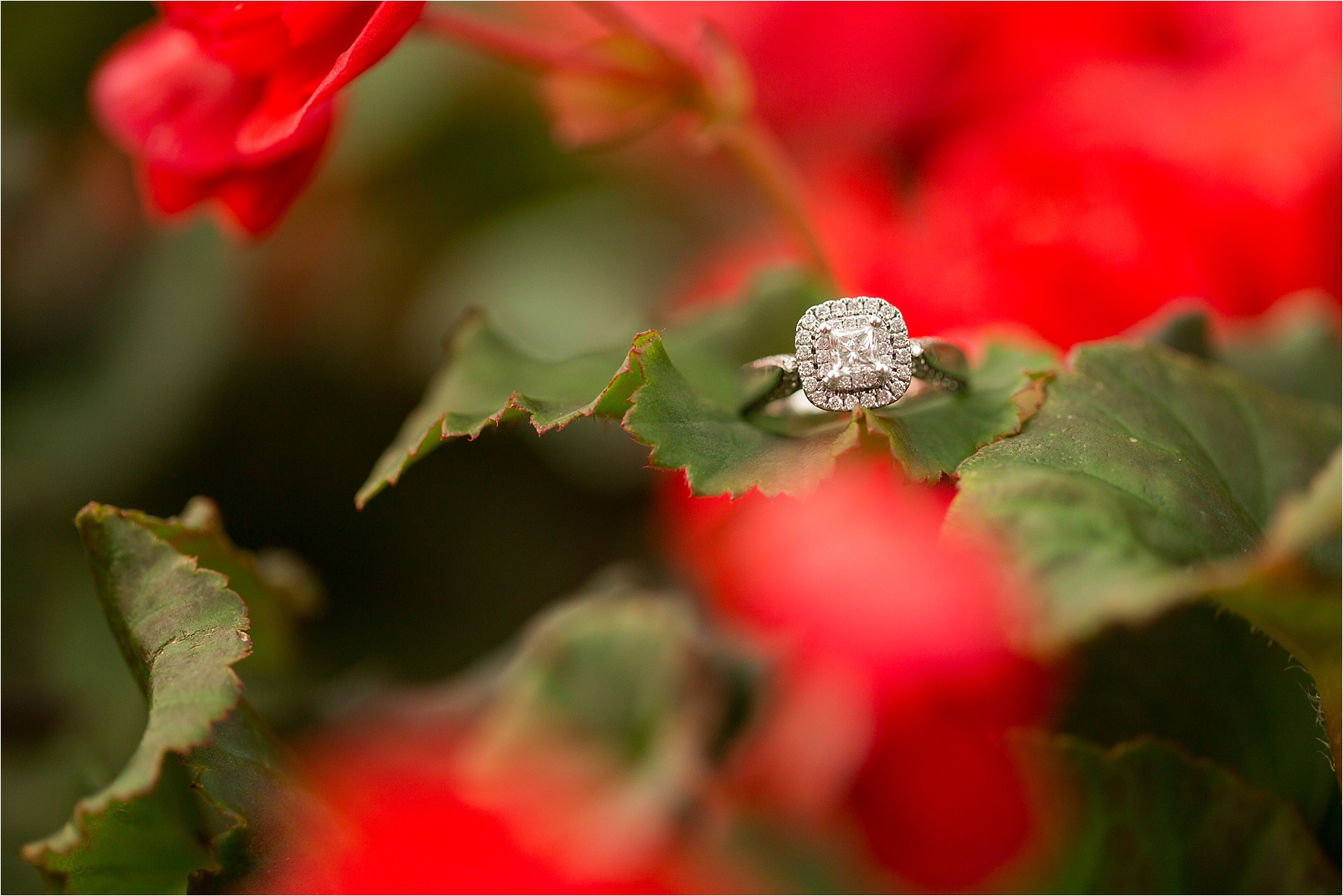 walton house wedding