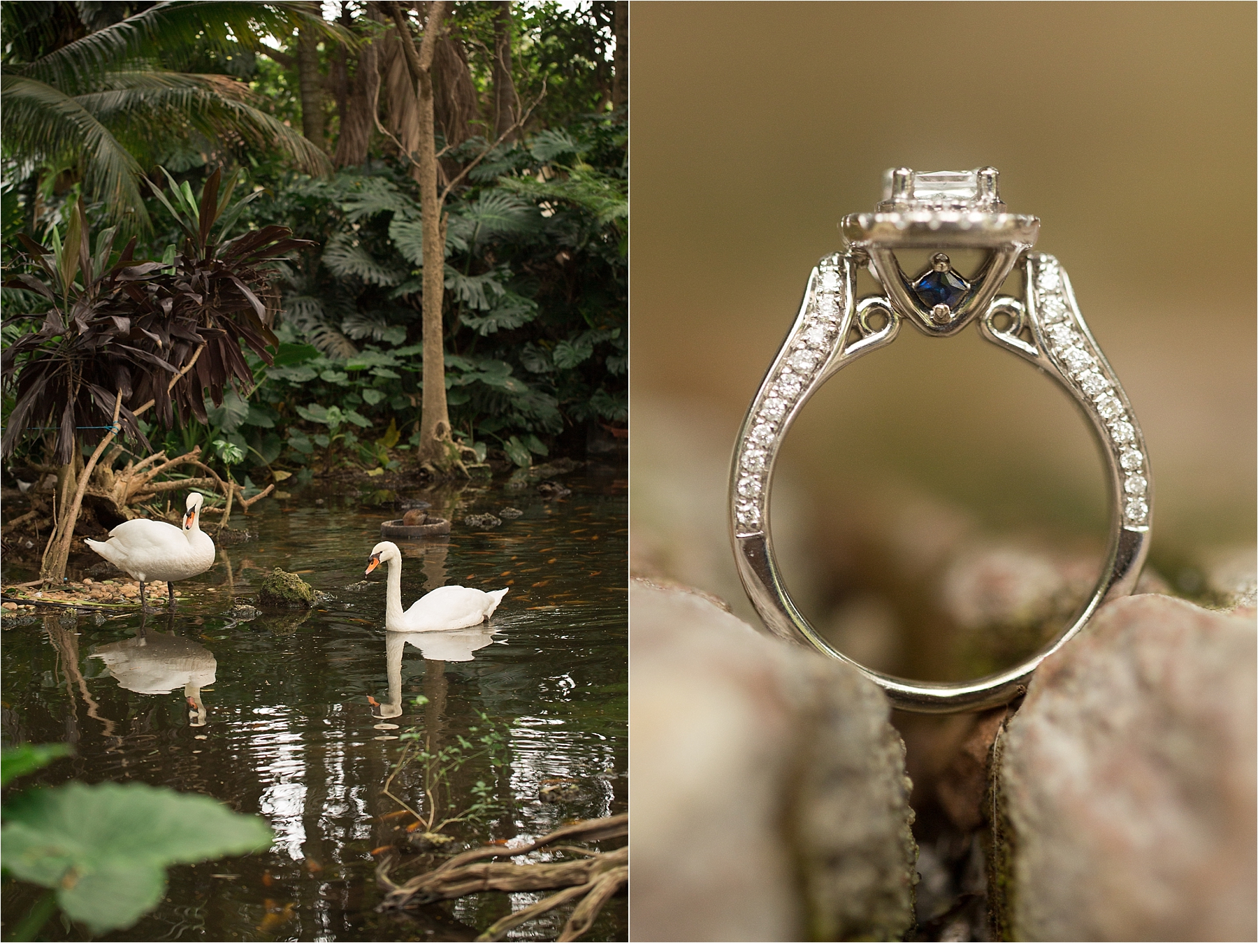 walton house wedding