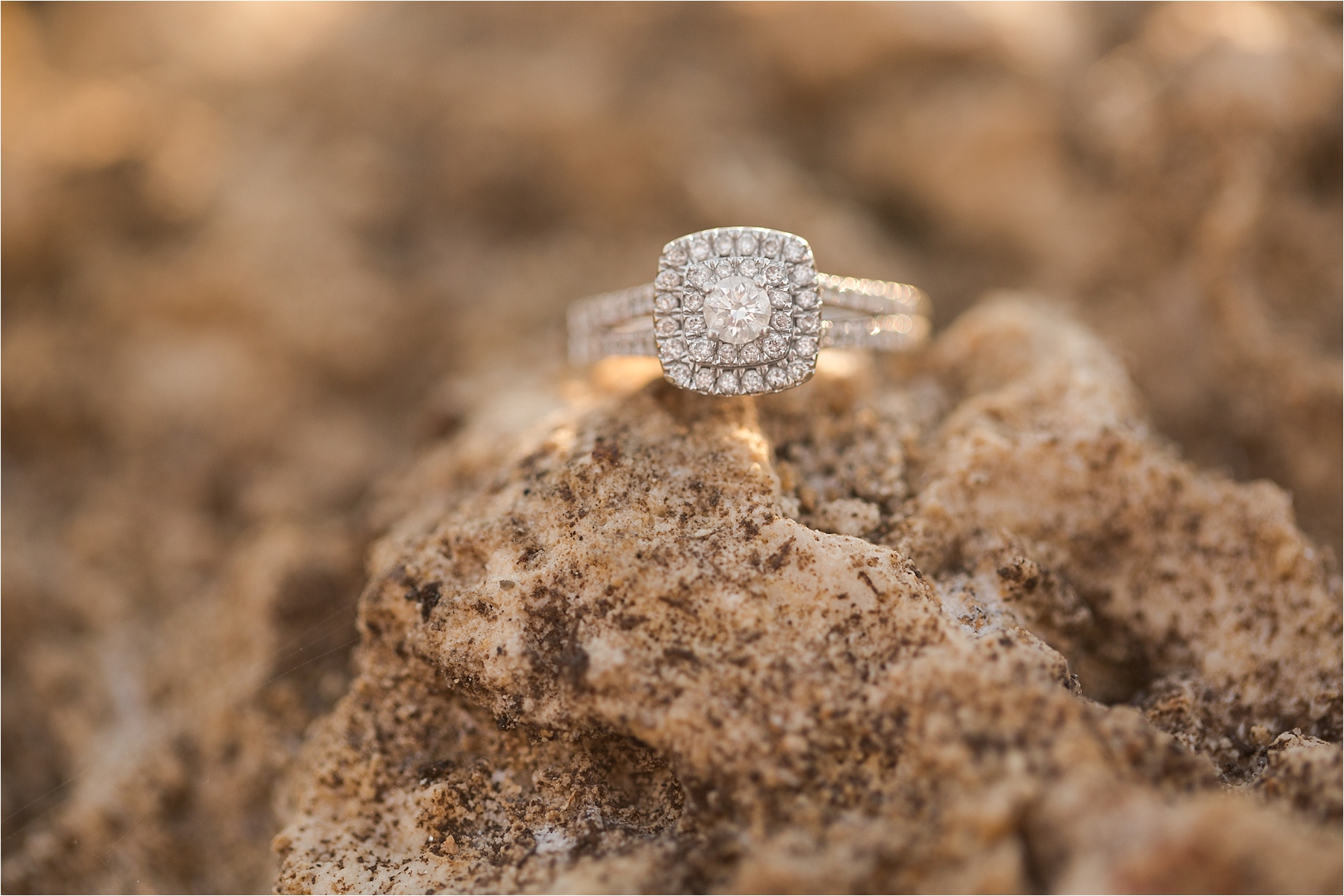 matheson hammock park engagements