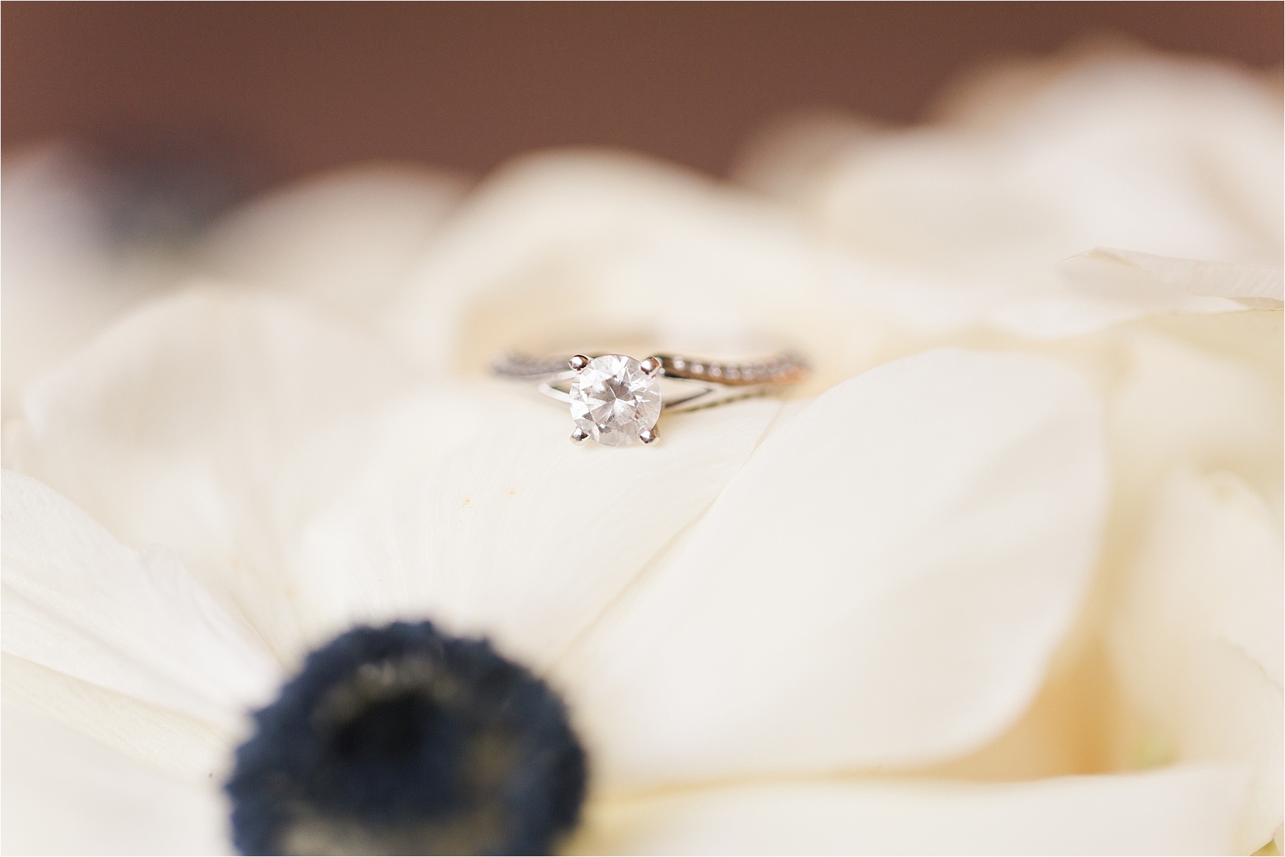 coral gables wedding photographer